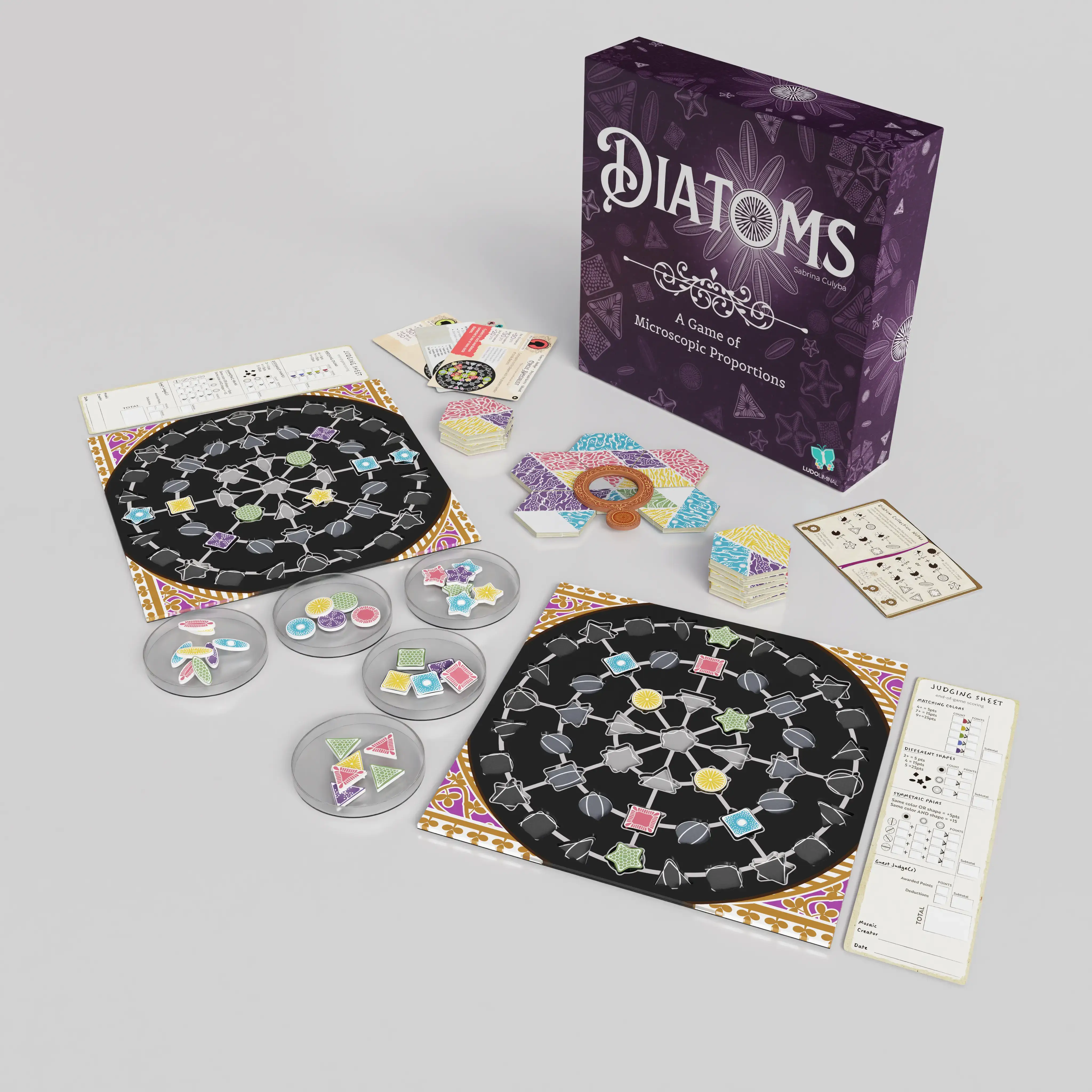 What's inside the Diatoms box? Glorious coloured tiles!